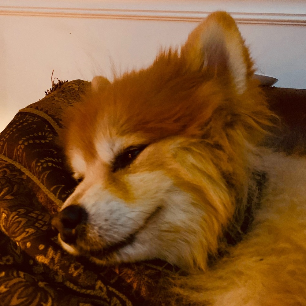 Meet your Posher, Chloe